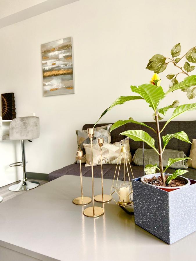 Cómodo y elegante apartamento en fabuloso condo! San José Exterior foto