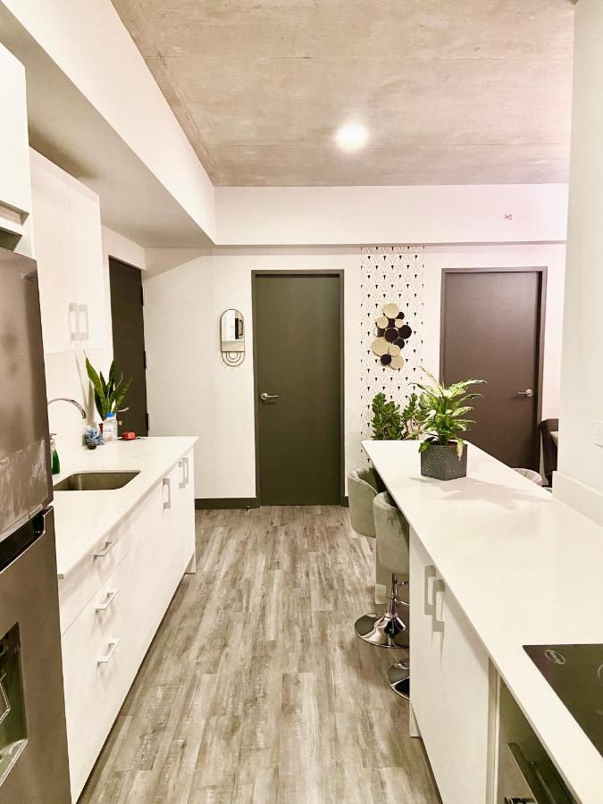 Cómodo y elegante apartamento en fabuloso condo! San José Exterior foto